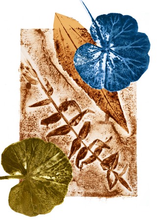 stage Stage Peinture Monotype